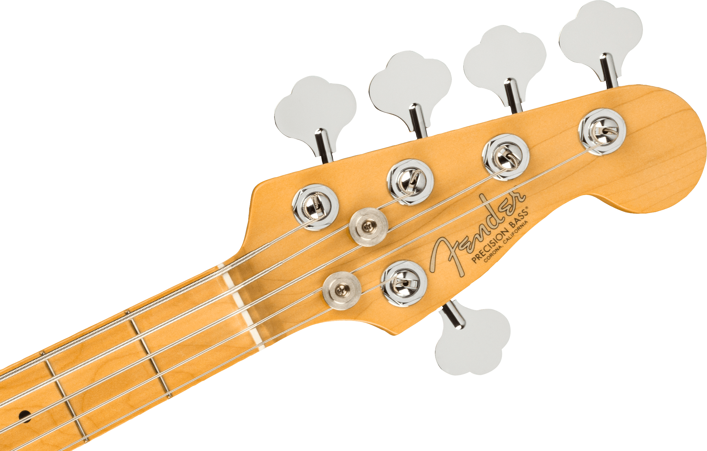 fender-american-professional-ii-precision-bass-v-dark-night_67efc863e16e1.png