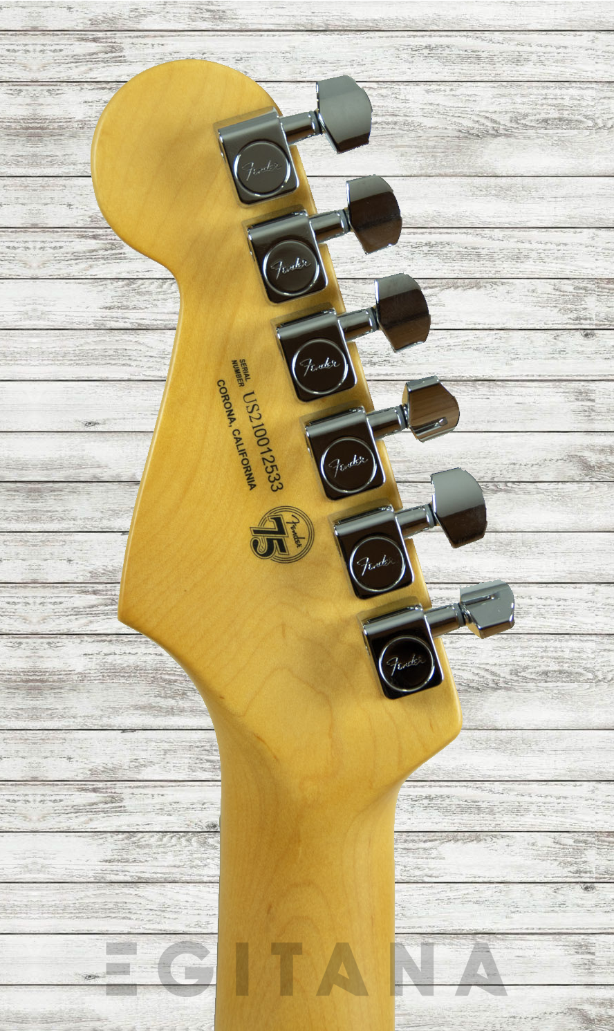 fender-american-professional-ii-stratocaster-rw-mercury_60f96913869b7.png