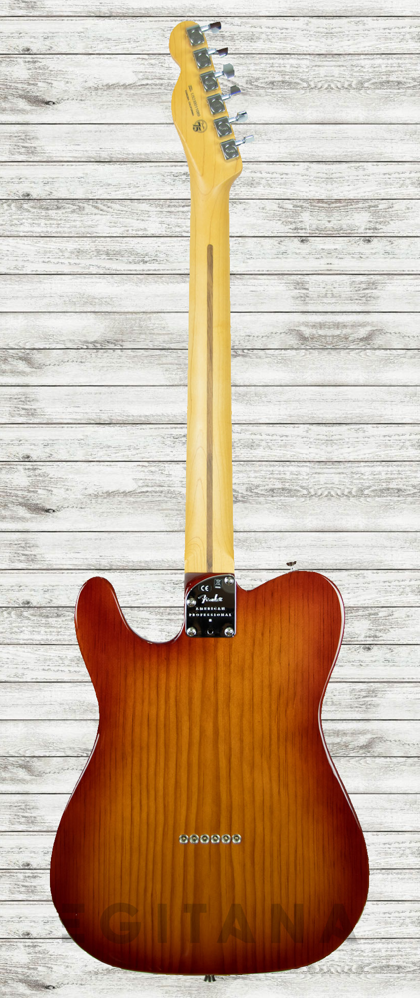 fender-american-professional-ii-telecaster-mn-sienna-sunburst_60f98bf25c28f.png