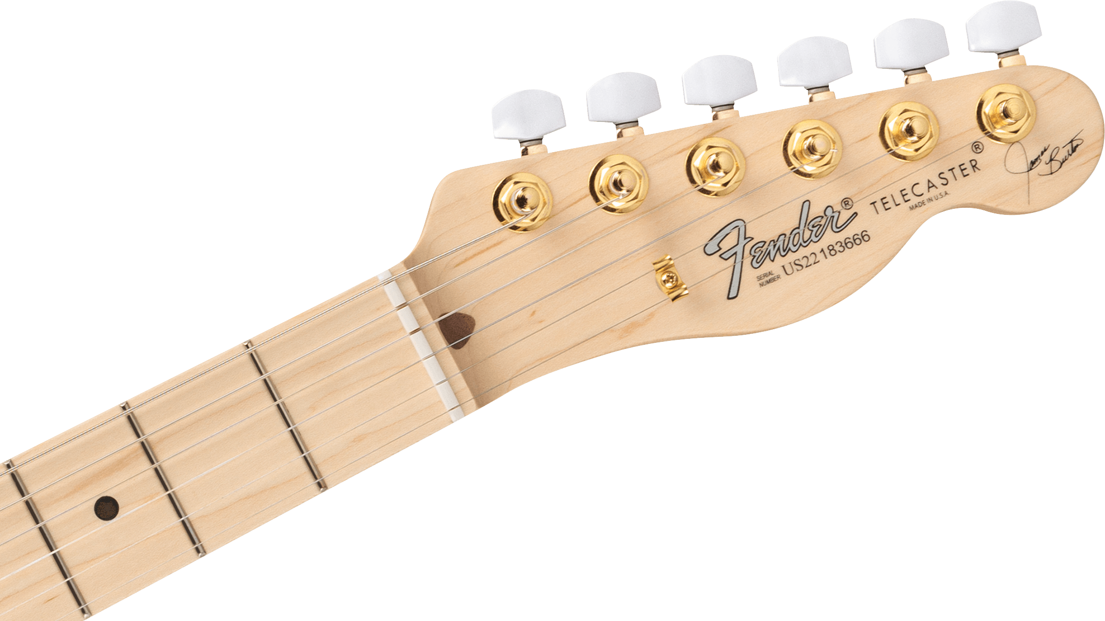 fender-james-burton-maple-fingerboard-red-paisley-flames_6821ff86d4cfd.png
