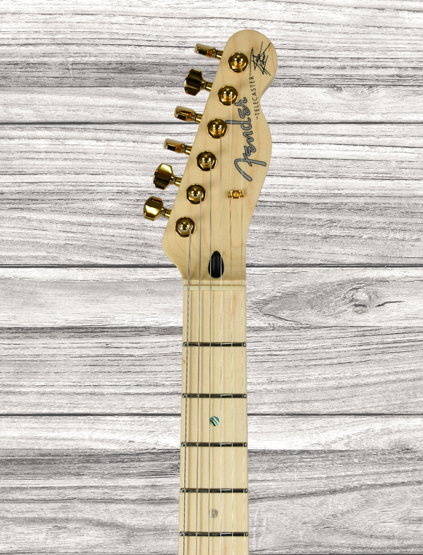 fender-kotzen-telecaster-bsb_65d8adfad4fd5.png