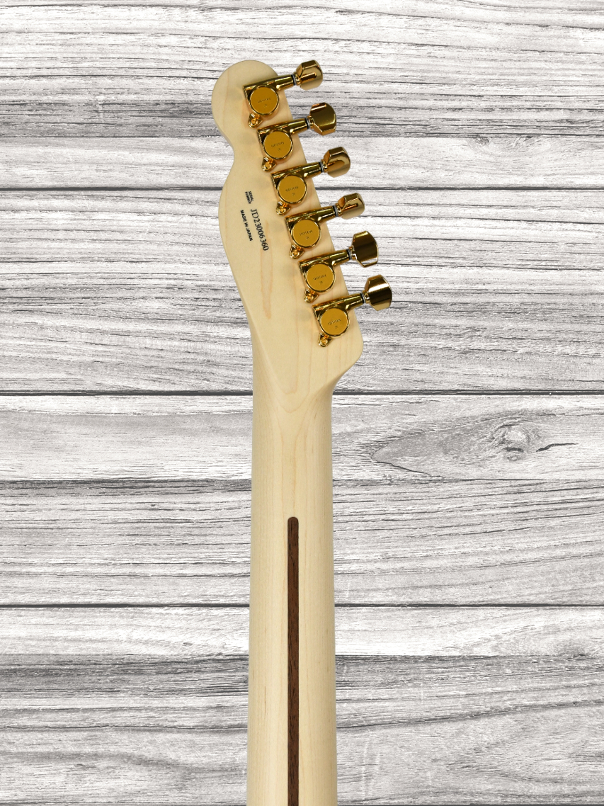 fender-kotzen-telecaster-bsb_65d8adfebfc3a.jpg