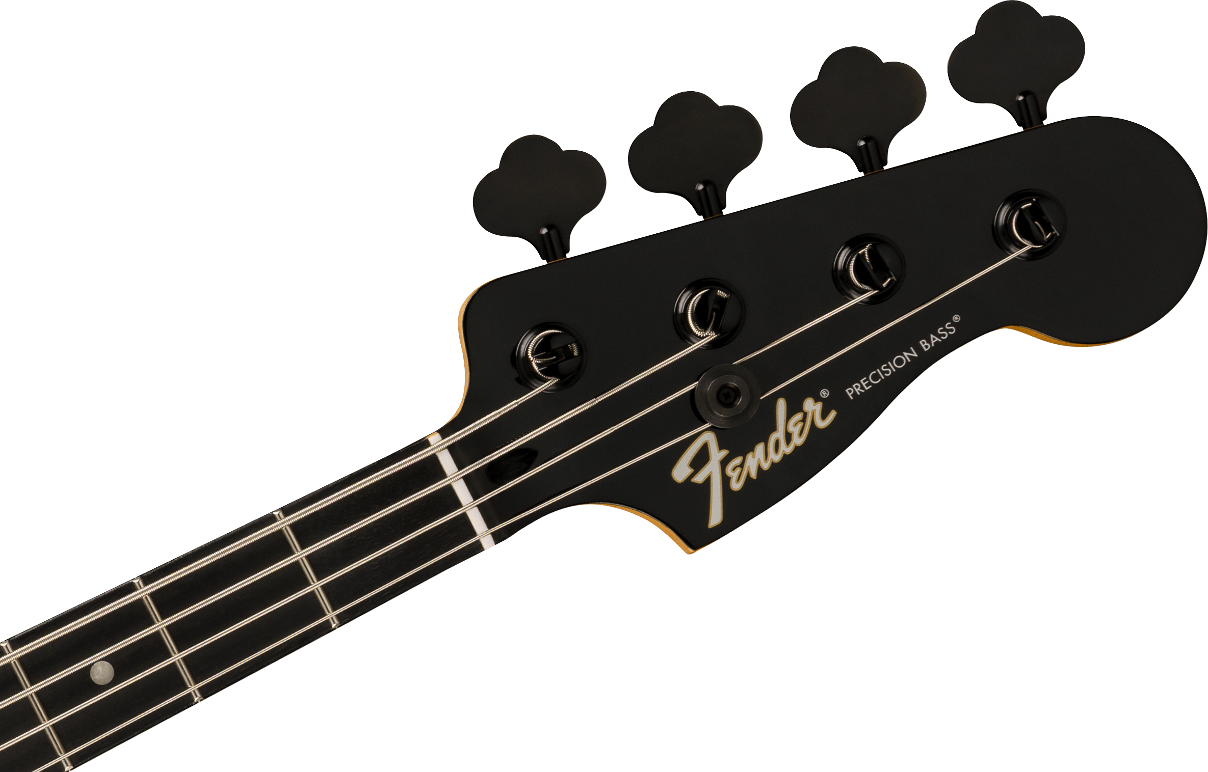 fender-limited-edition-player-fusion-p-bass-hh-bk_6aa7f9909d237.png