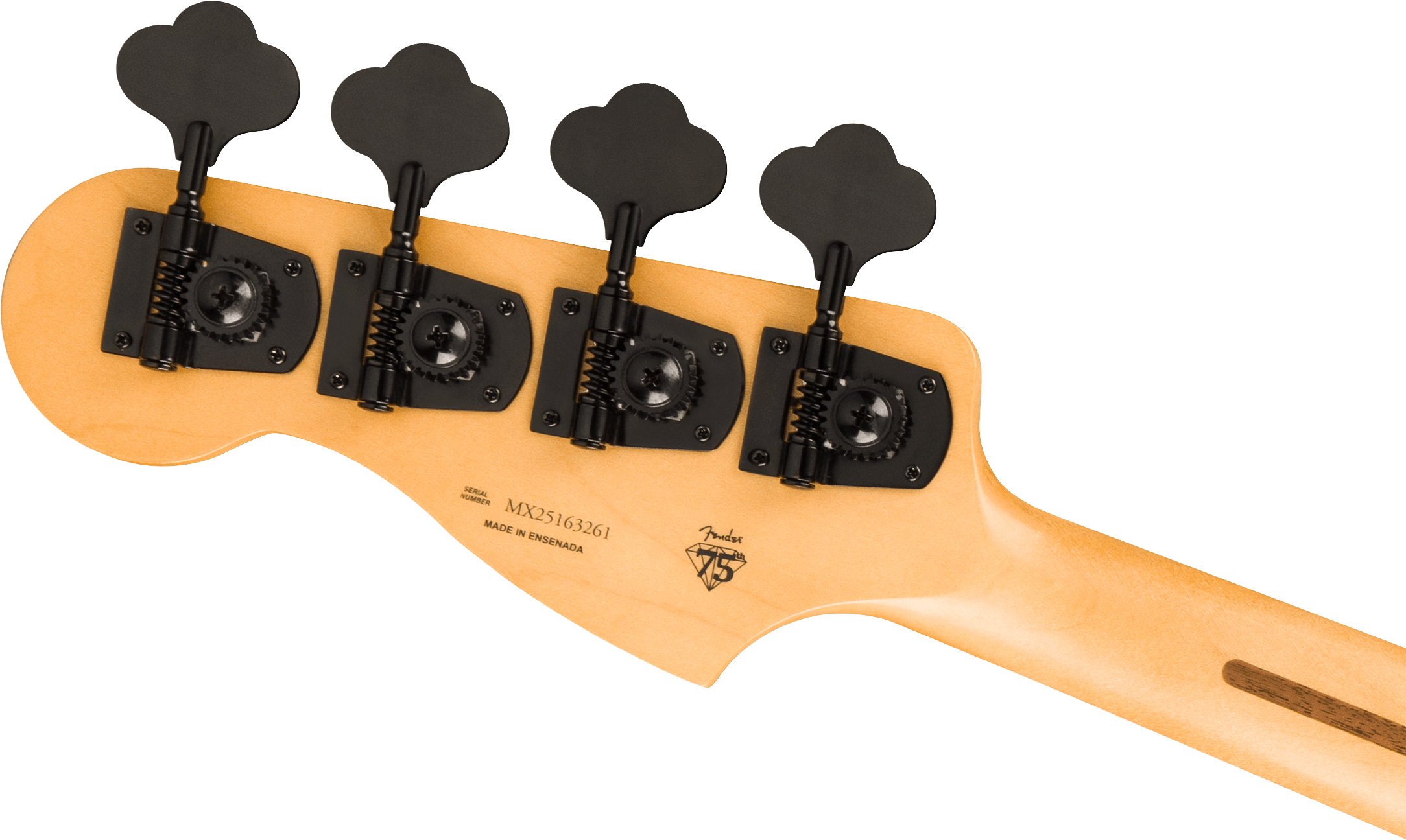 fender-limited-edition-player-fusion-p-bass-hh-bk_6aa7f99312850.png