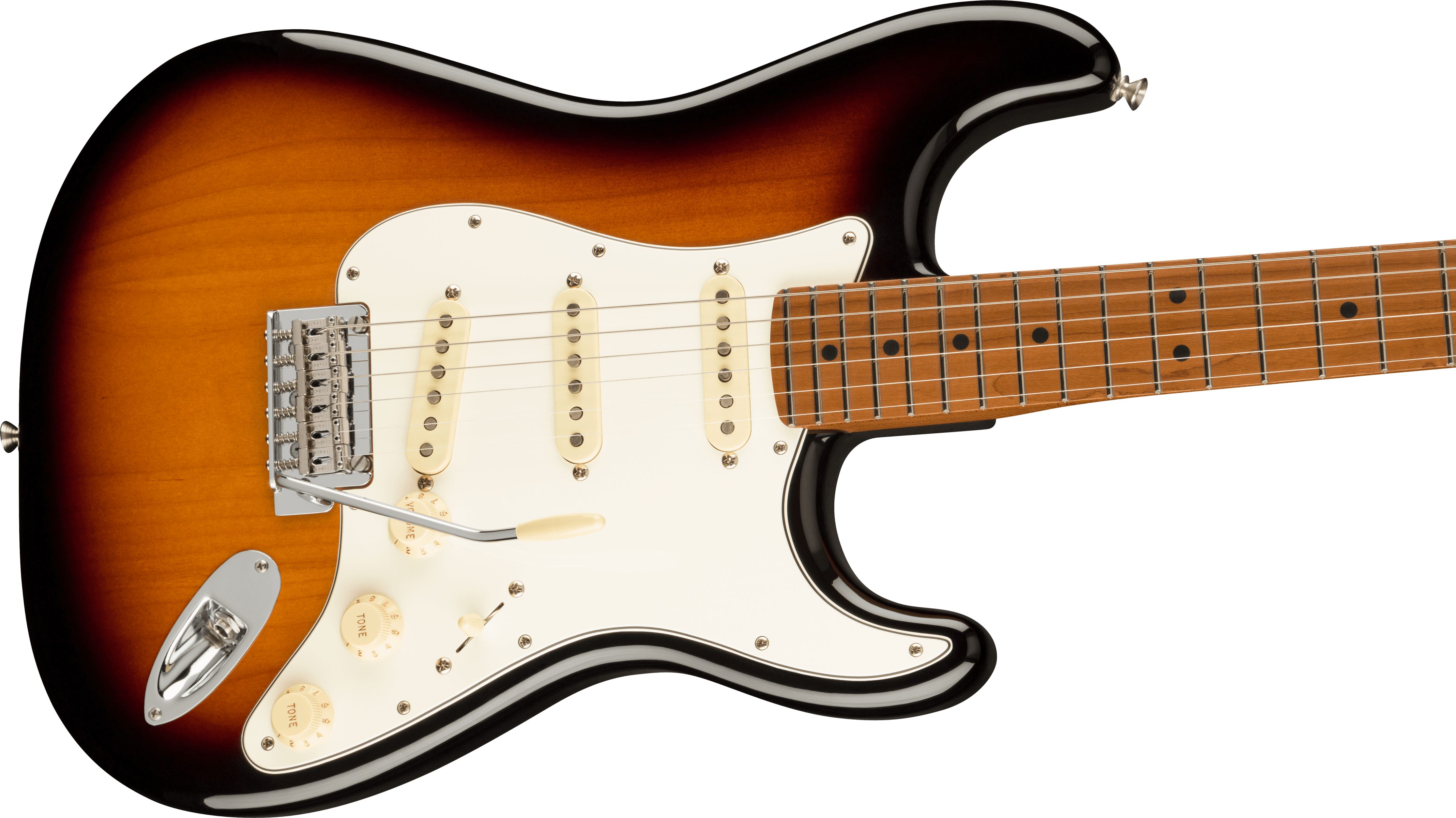 fender-limited-edition-player-roasted-maple-fingerboard-2-color-sunburst_65c50d666a7b3.png