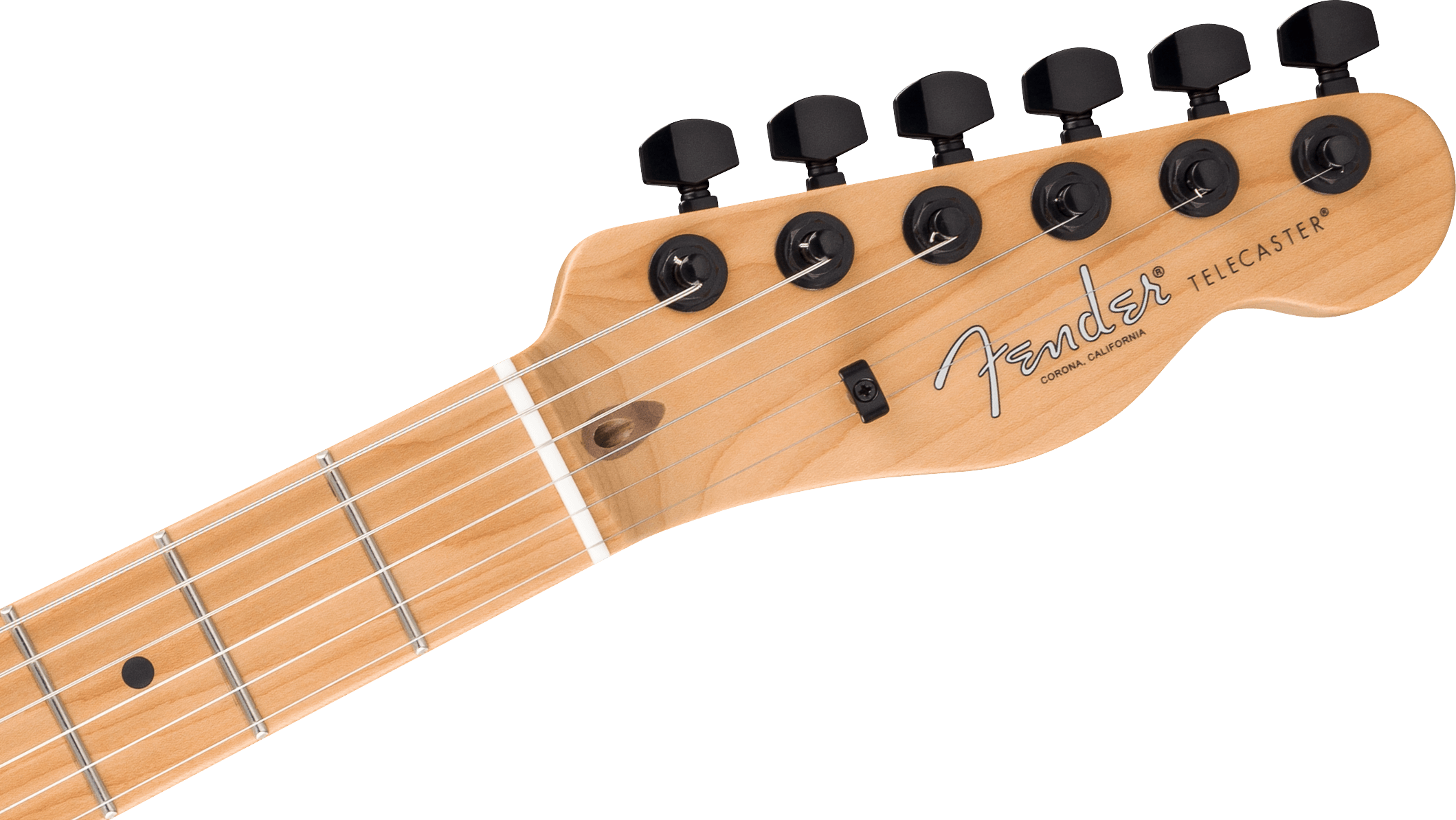 fender-ltd-am-pro-ii-tele-hh-agn_67d04660cdd82.png