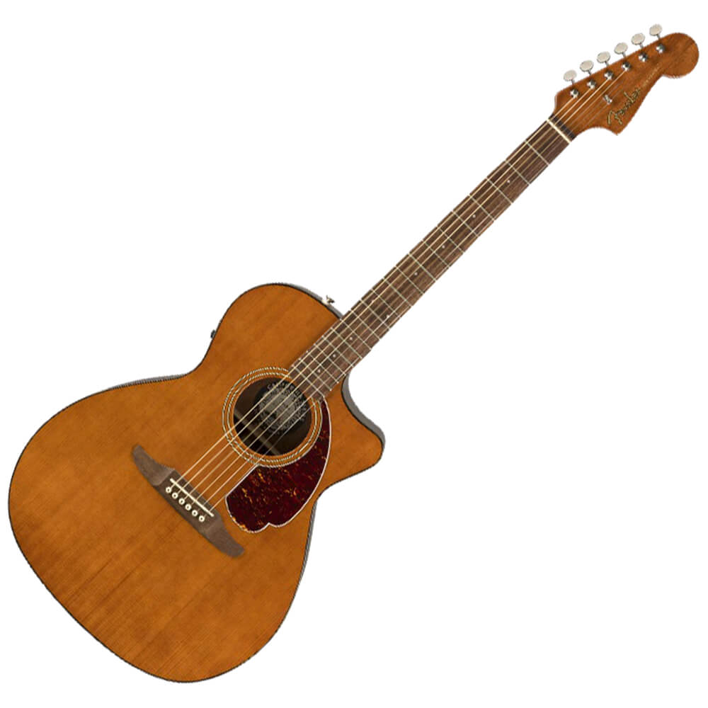 fender-ltd-newporter-player-mocha_5da49470dab0a.jpg