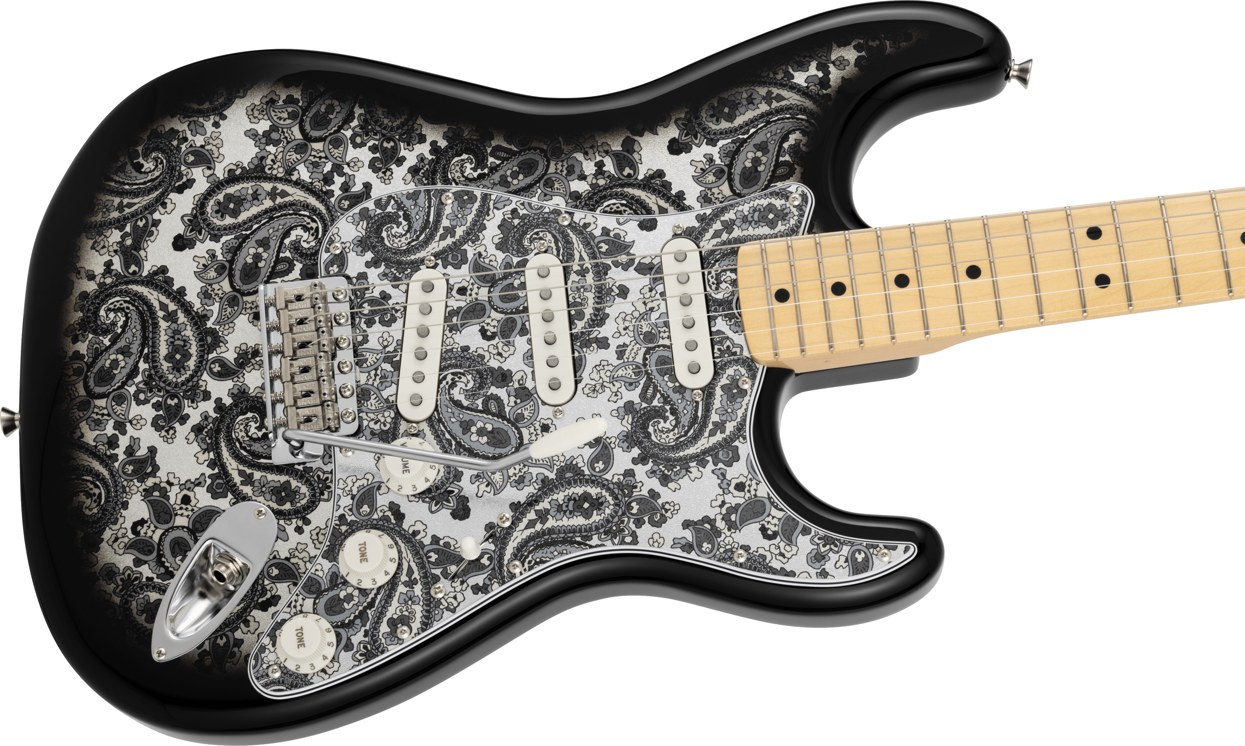 fender-made-in-japan-limited-stratocasterr-black-paisley_6925a32638695.png
