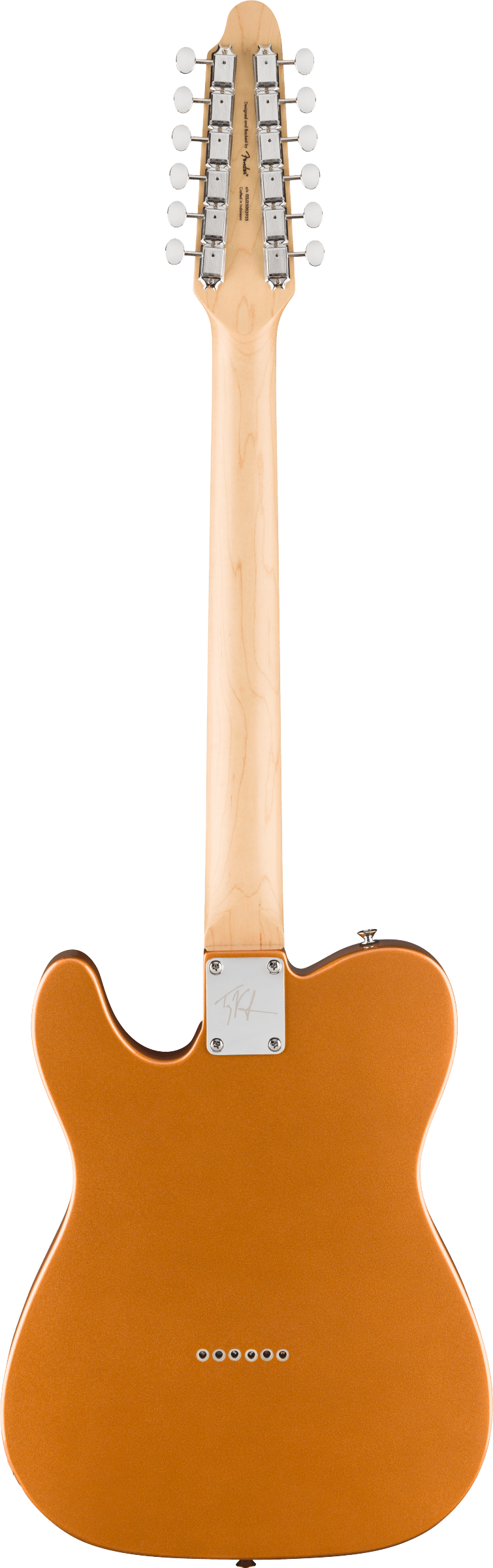 fender-paranormal-troy-van-leeuwen-telecaster-xii-copper_6a9fda97b54c7.png