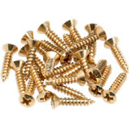 fender-pickguard-screws-gold_604f95ceac464.jpg