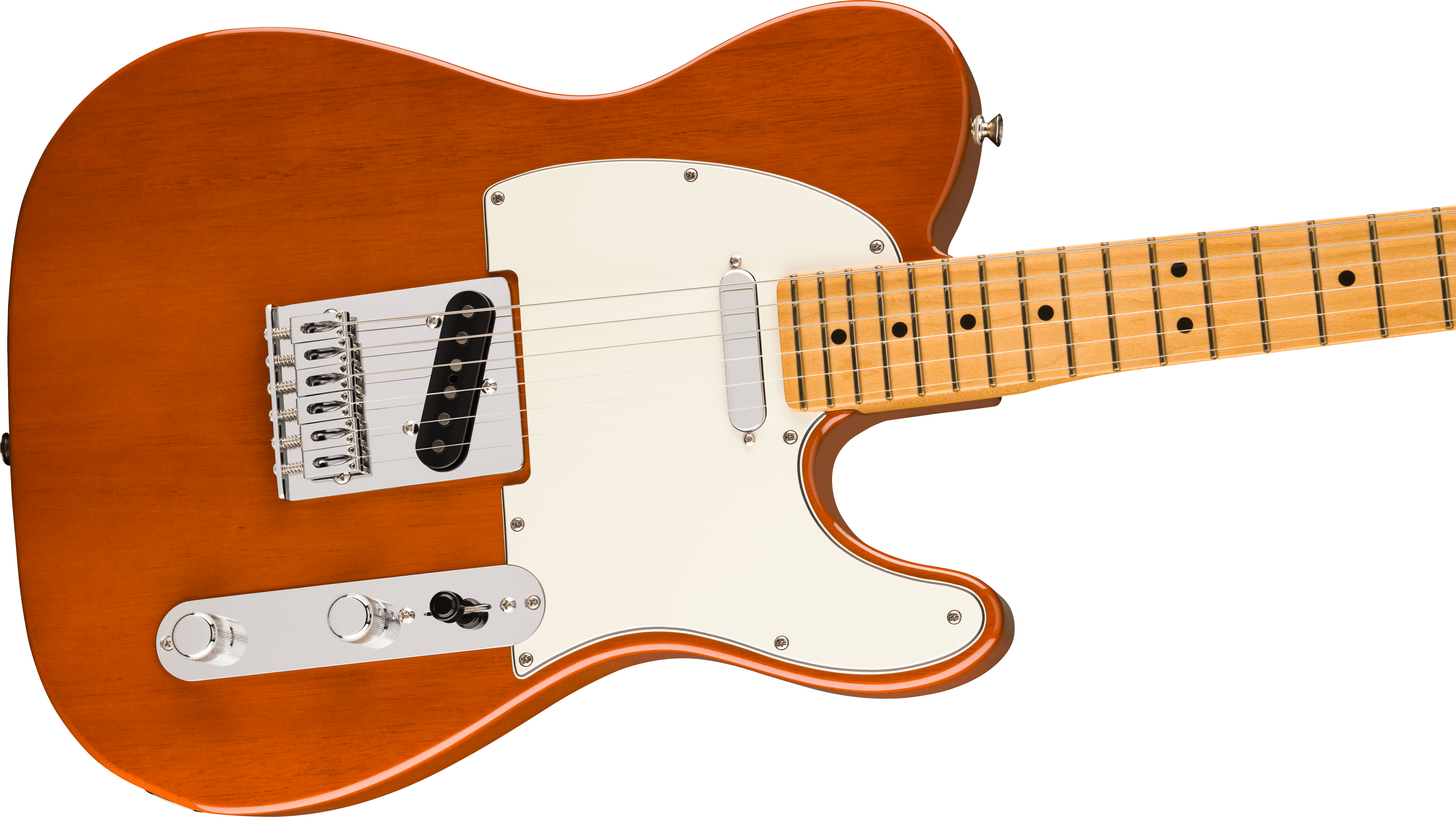 fender-player-ii-telecaster-maple-fingerboard-mocha_671a53ff4c329.jpg