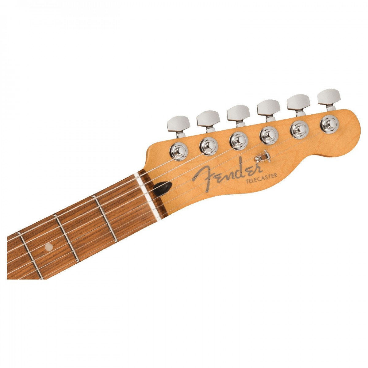 fender-player-plus-tele-silver-smoke_6155bad4d8550.jpg