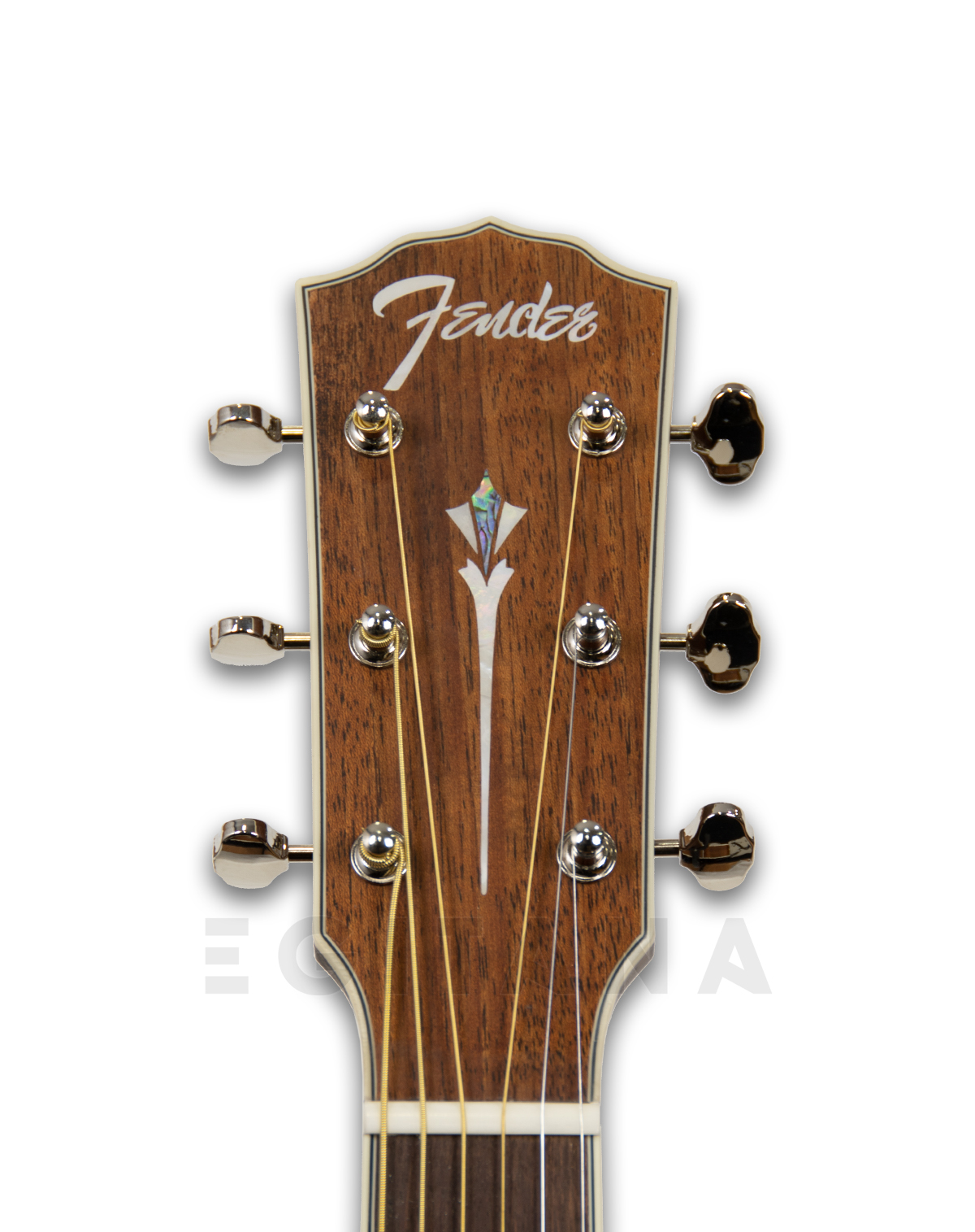 fender-pm-1e-dread-mah-acb-ov_5ff83801dfb2d.jpg