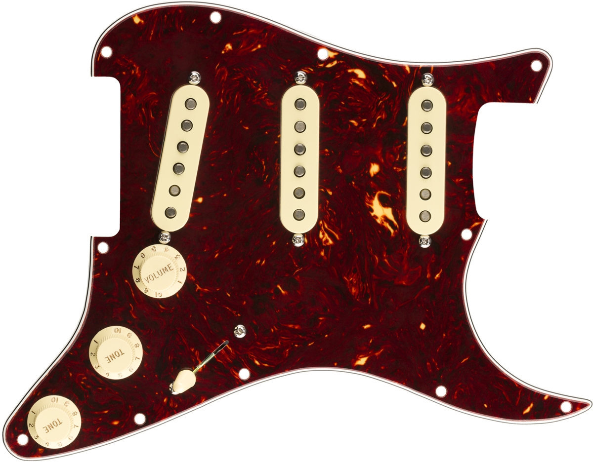 fender-pre-wired-st-pg-or57-62-tort_5ebd08a736023.jpg