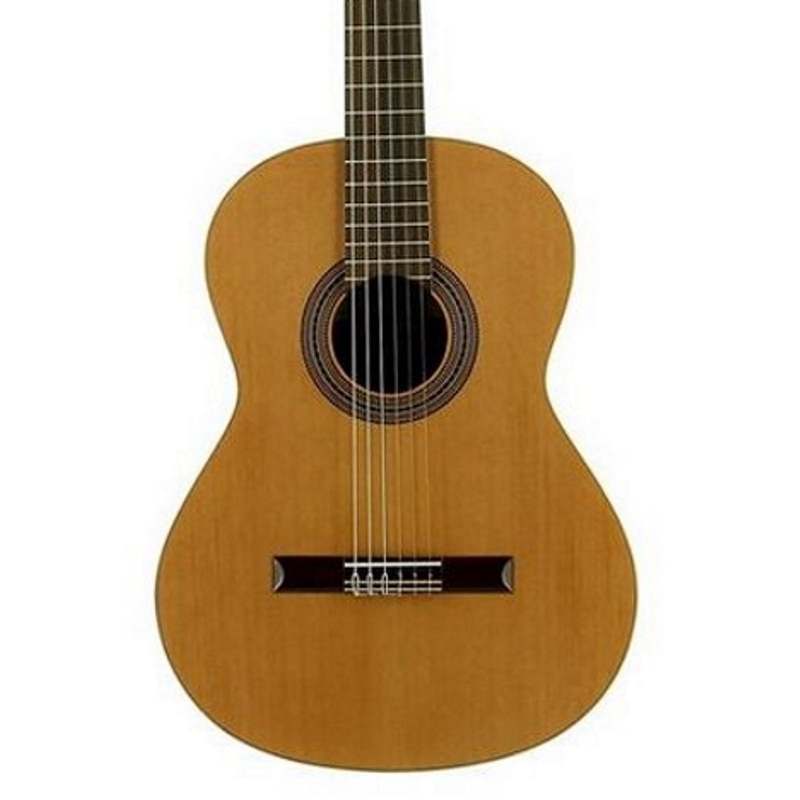 guitarra-classica-jose-torres-jtc-10_64d0c9bbd2ccb.jpg