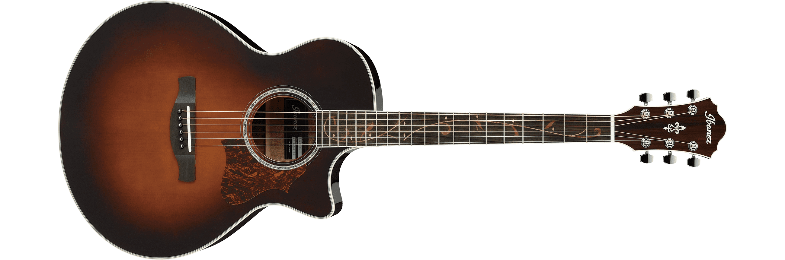 ibanez-ae205-bs_5c94b9afce8a8.png