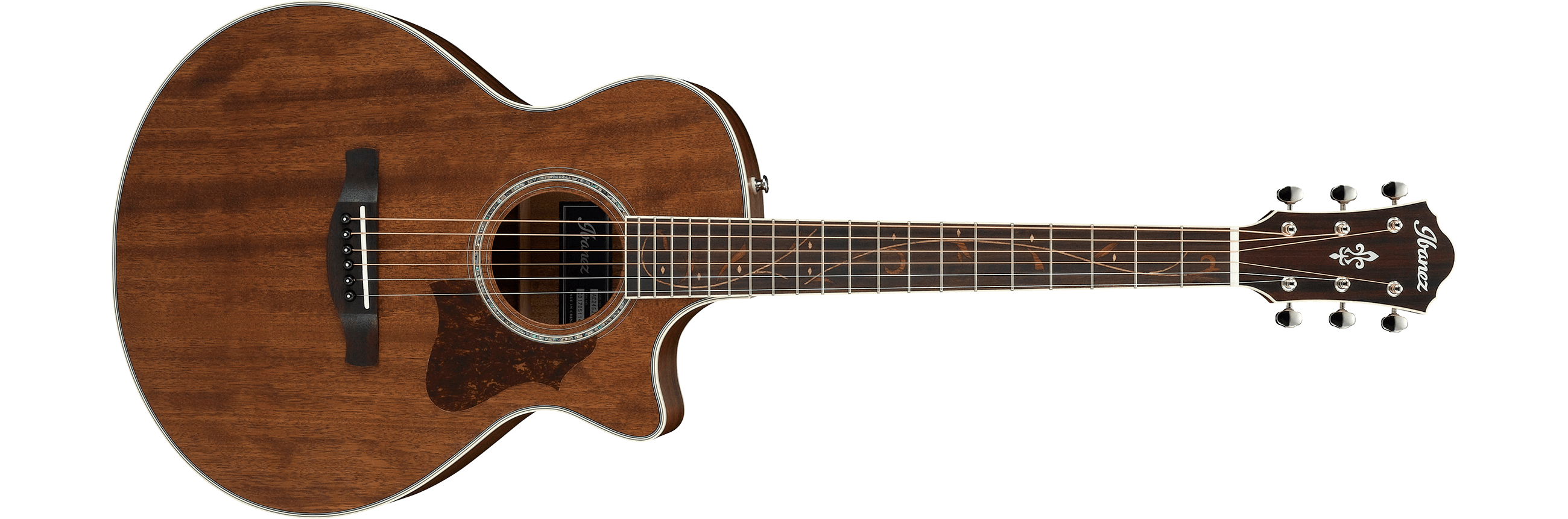 ibanez-ae245jr-opn_600f00b23f362.png