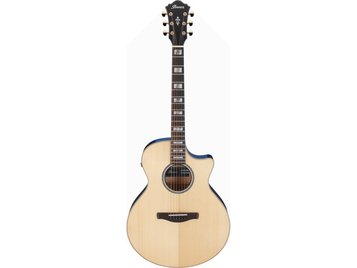 ibanez-ae390-nta_65e600336b747.png