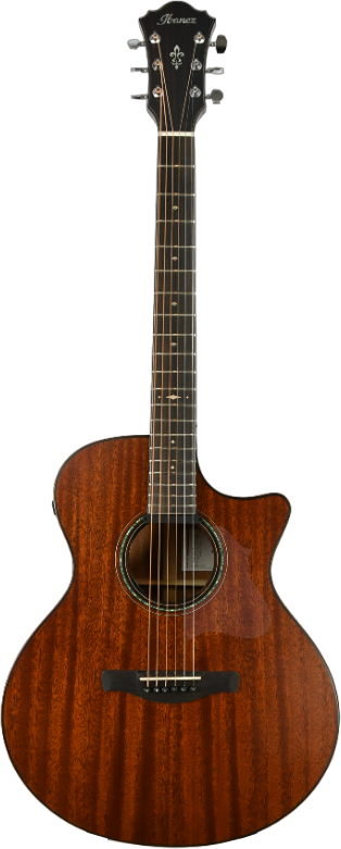 ibanez-ae440lgs_64a55415559e8.png