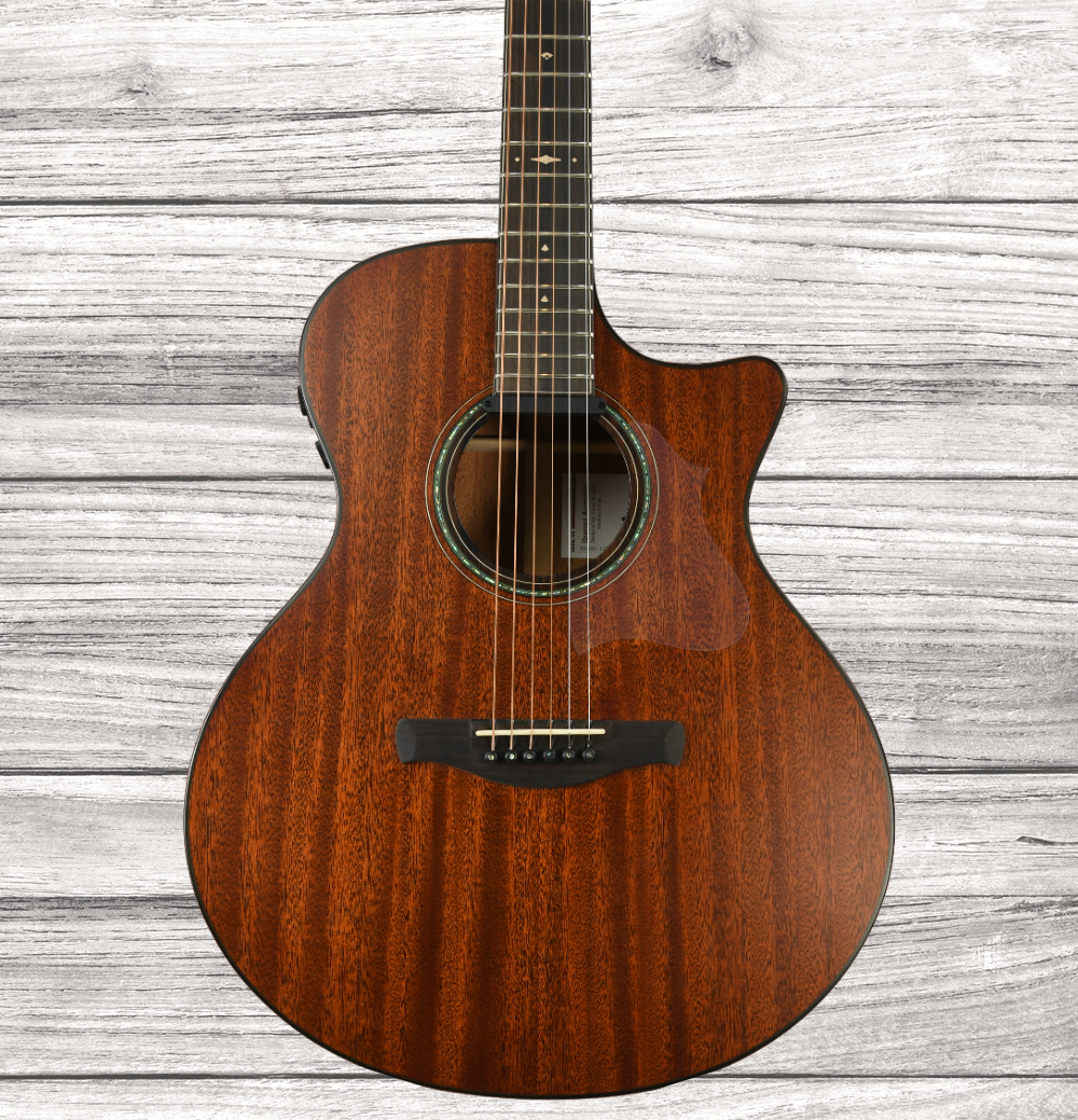 ibanez-ae440lgs_64a6958a2eea4.png