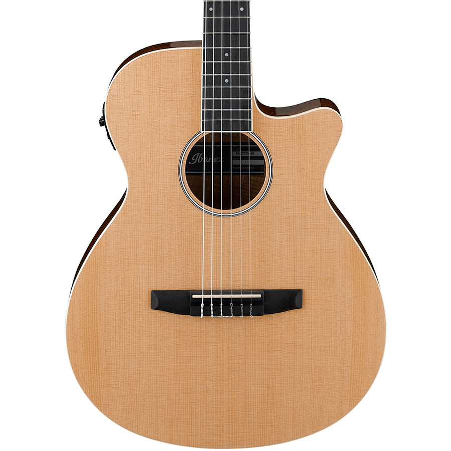 ibanez-aeg7tn-nt-nylon_5e4abc3781c55.jpg