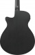 ibanez-aegb420-black-out_69e760d50a6ef.jpg