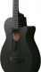 ibanez-aegb420-black-out_69e760d6ea3b9.jpg