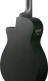ibanez-aegb420-black-out_69e760d8d5ed2.jpg