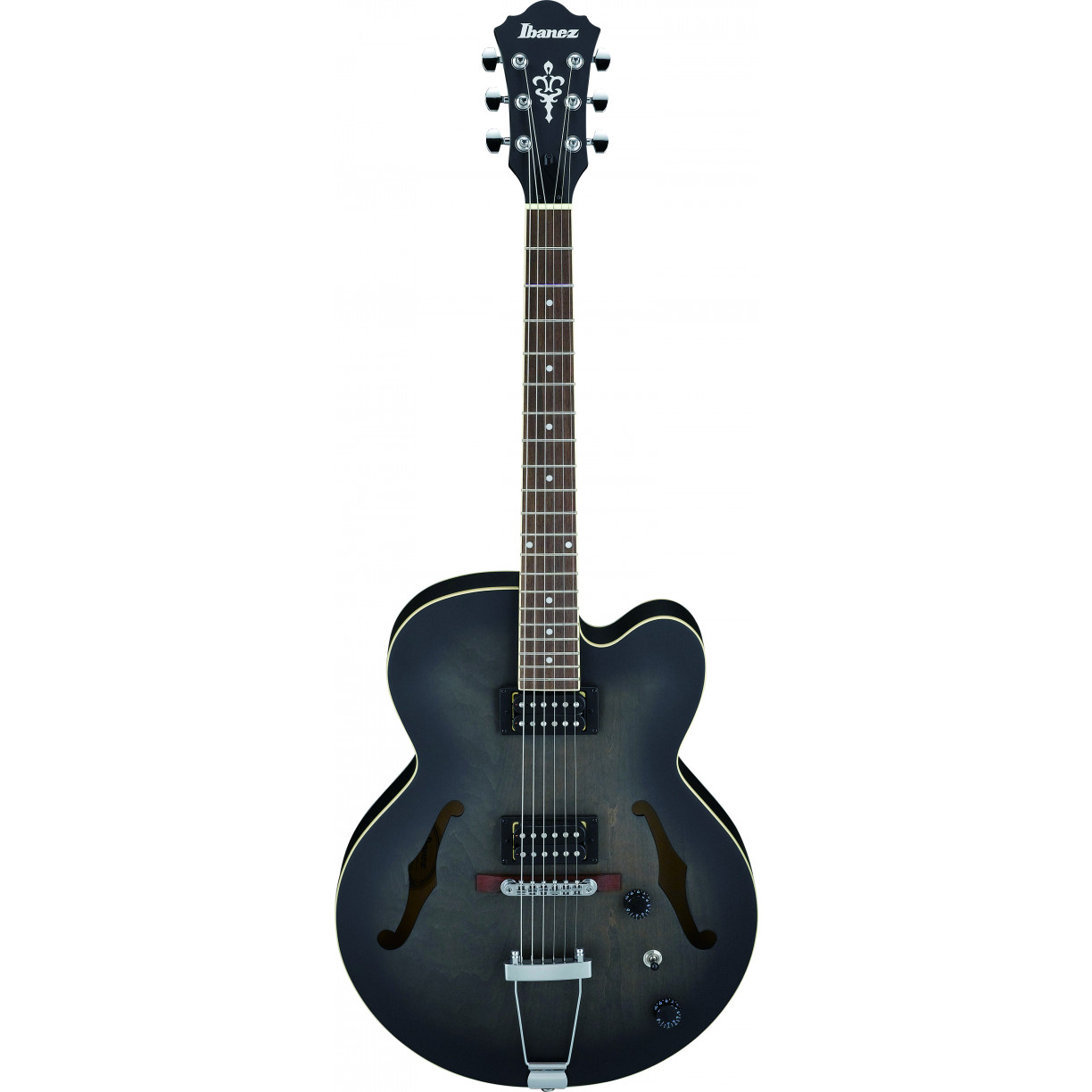 ibanez-af55-tkf_5f51149923923.jpg