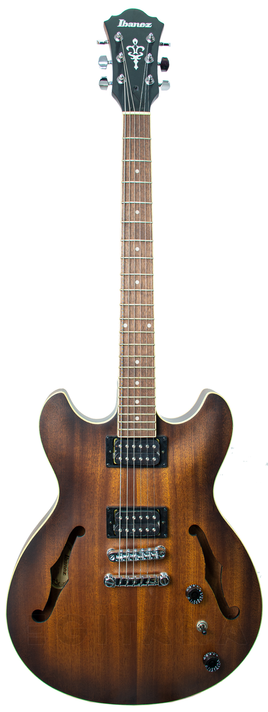 ibanez-as53-tf_620aa300b013f.jpg