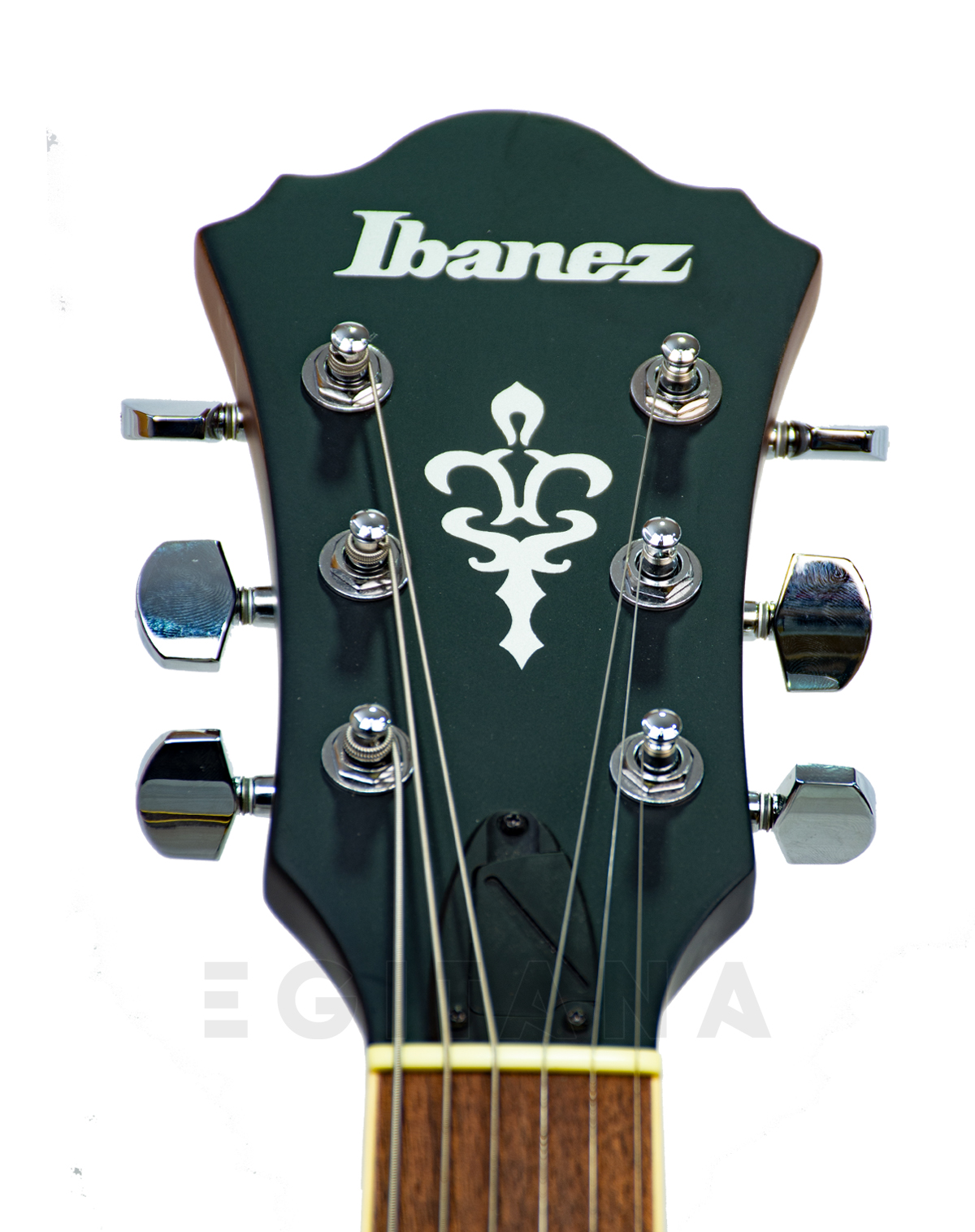 ibanez-as53-tf_620aa3028ce35.jpg