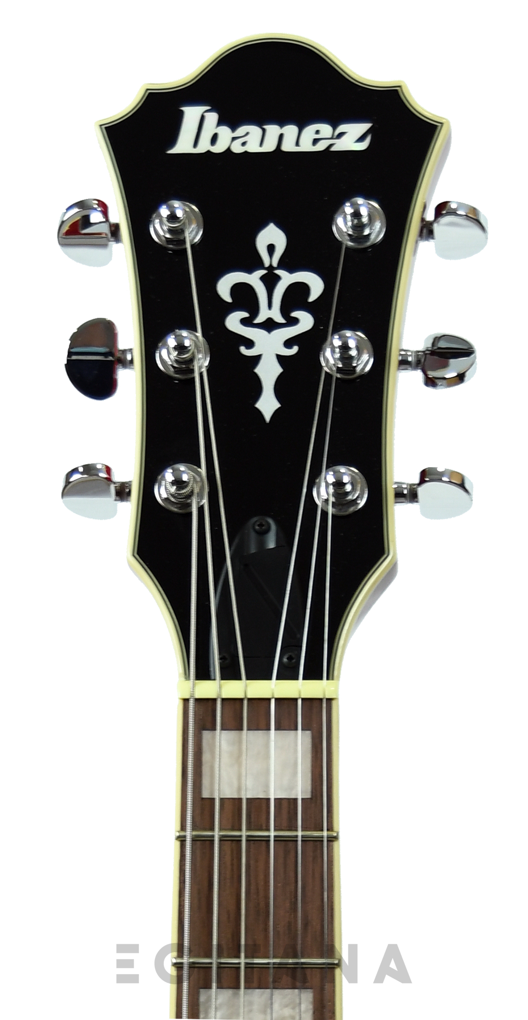 ibanez-as73-tcd_6139d901606ba.jpg