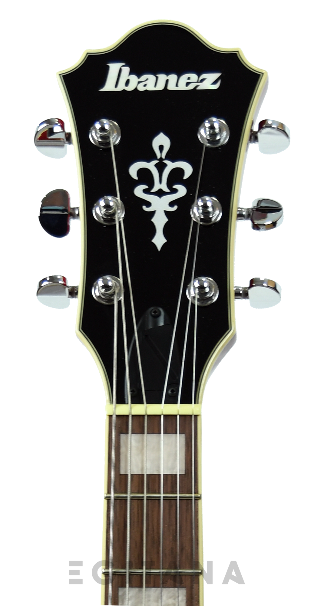 ibanez-as73-tcd_6139d901606ba.png