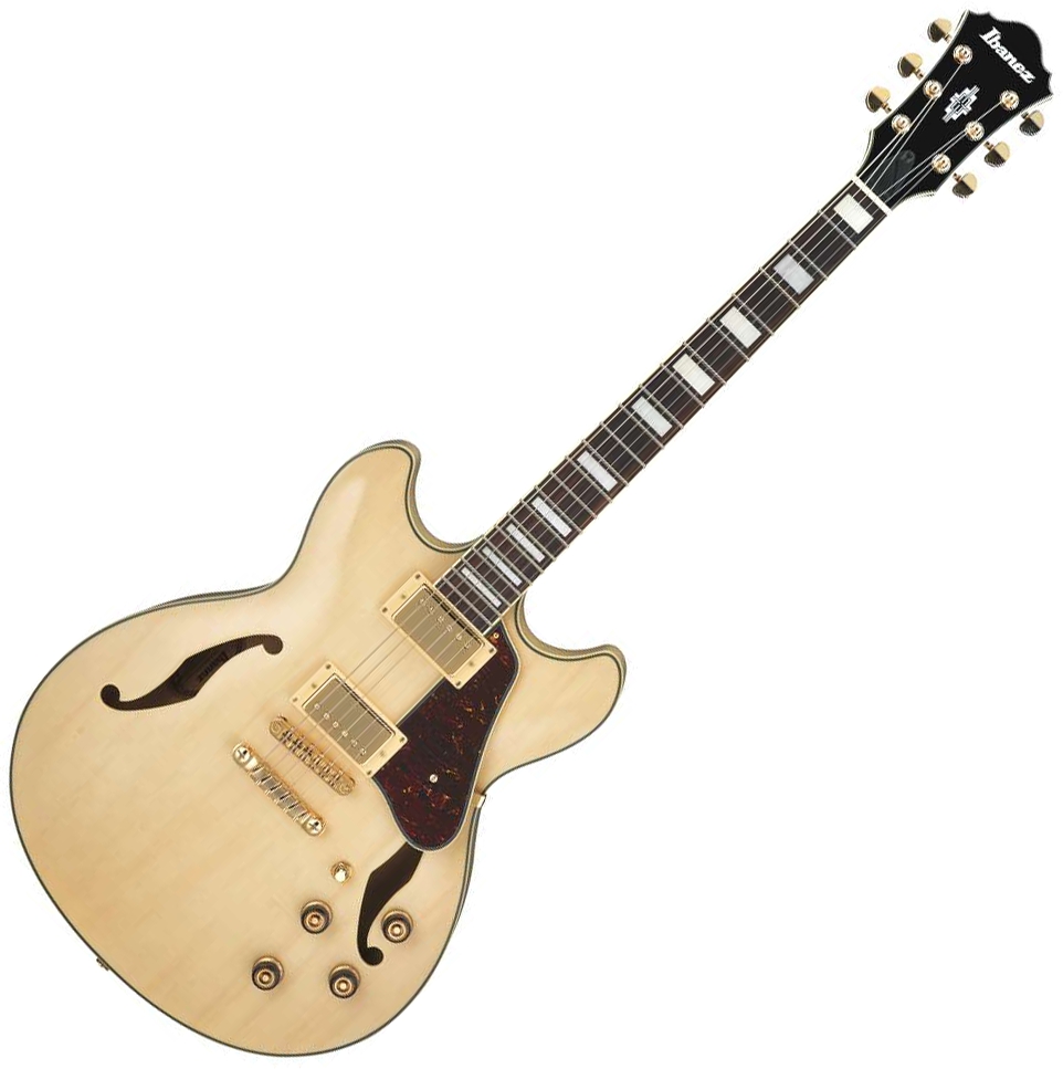 ibanez-as73g-nt_5dcd753dc477f.jpg