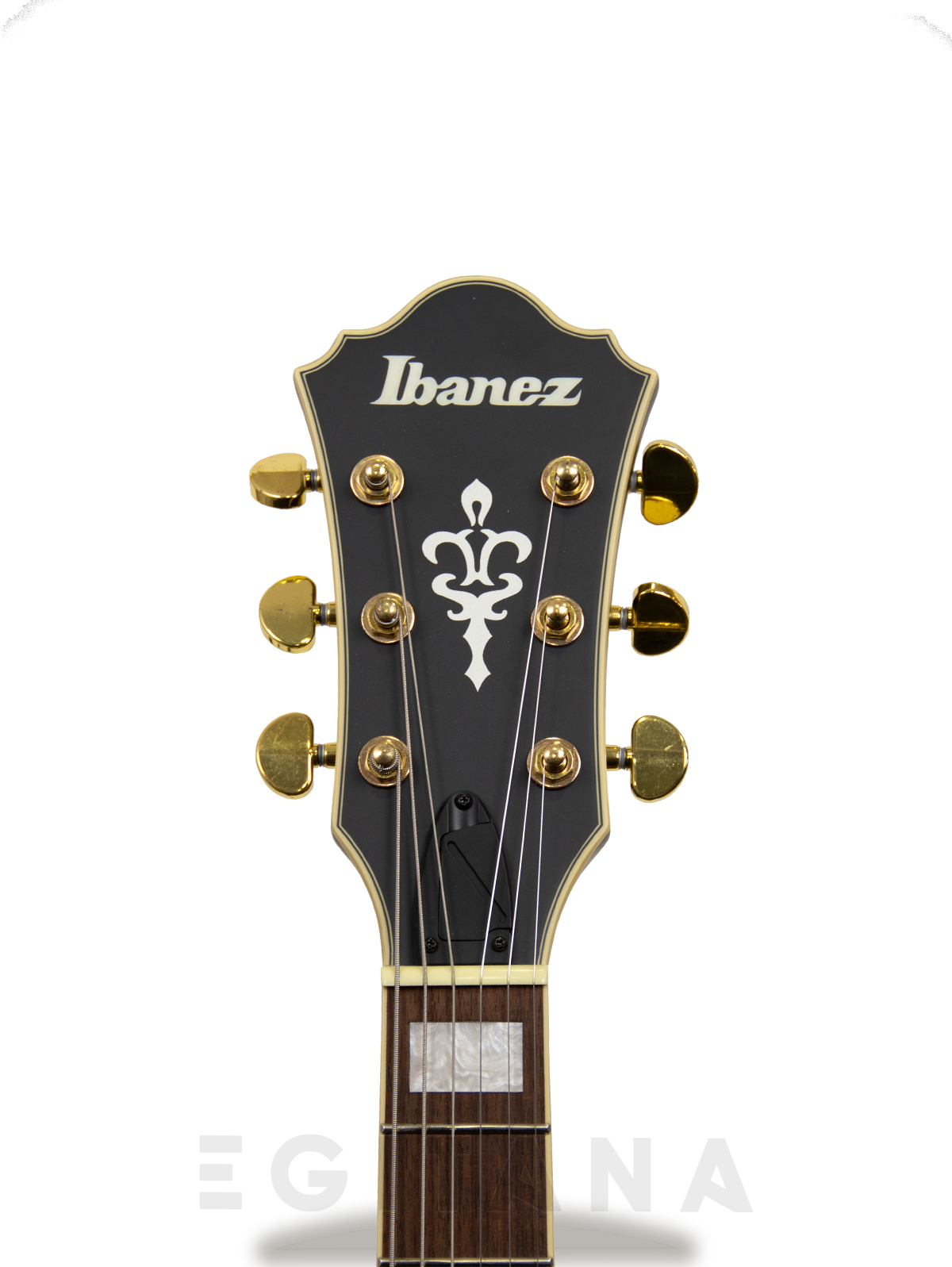 ibanez-as73gbkf_63341815e2999.jpg