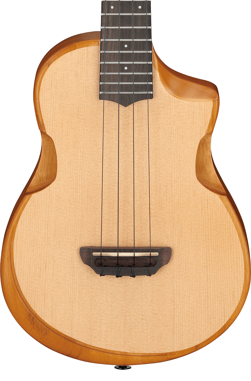 ibanez-aut10-opn_65ba13026cb45.png