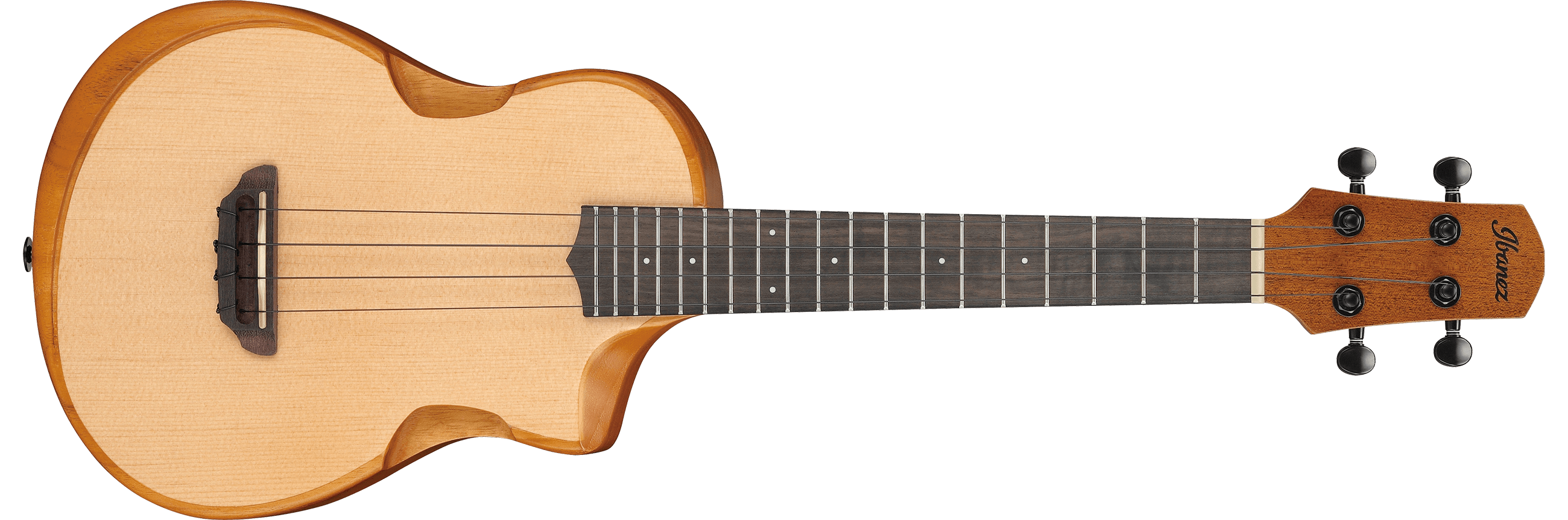 ibanez-aut10-opn_65ba1306adf8b.png