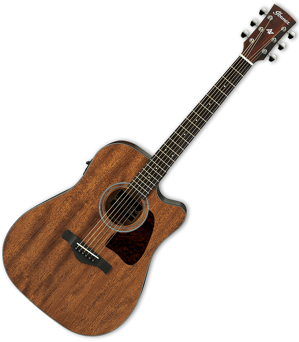 ibanez-aw54ce-opn_5caf6e216fcaa.png