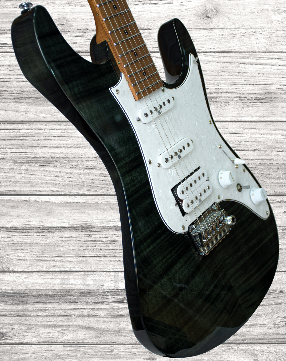 ibanez-az224f-bi_5f0d8c2cba2aa.jpg