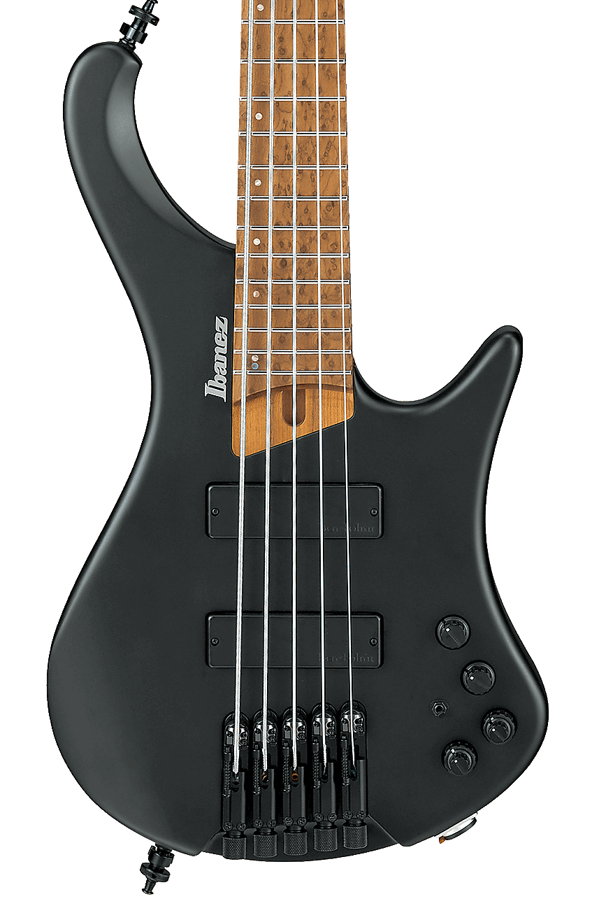 ibanez-ehb1005-bkf_5ecbef9265052.png