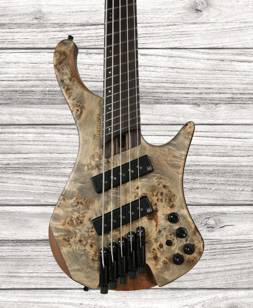 ibanez-ehb1505ms-bif_64663414812a1.png