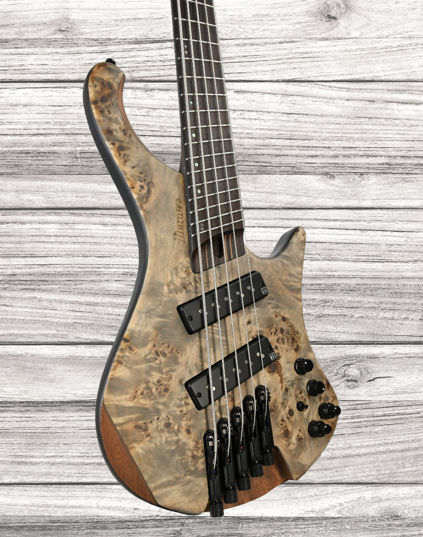 ibanez-ehb1505ms-bif_646634150cf87.png