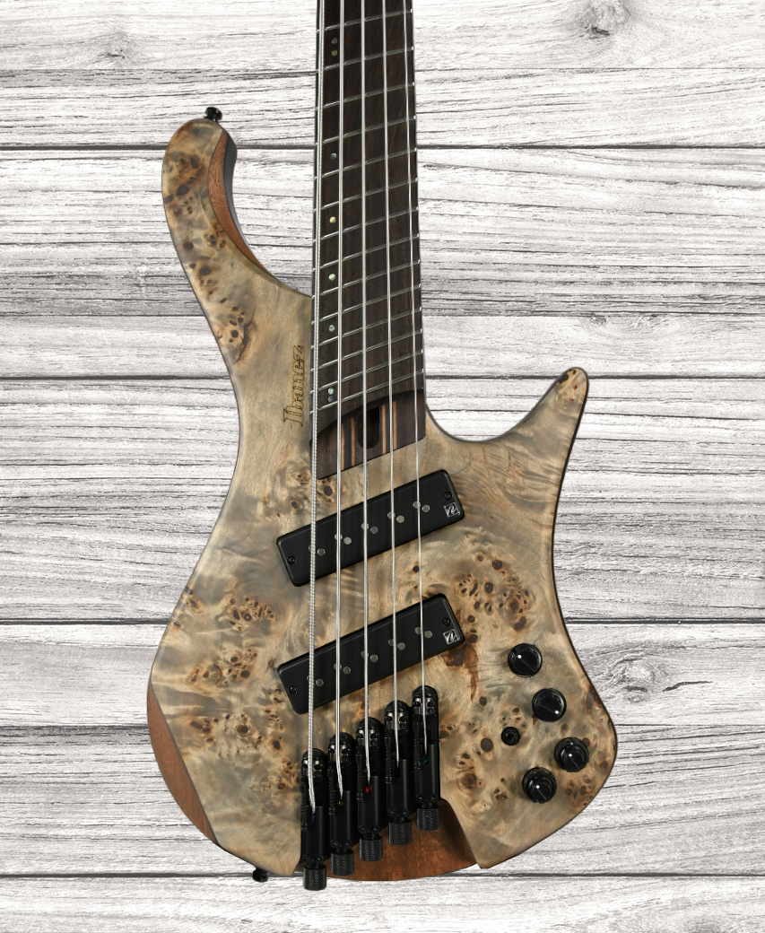 ibanez-ehb1505ms-bif_646634444041e.jpg