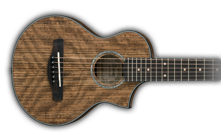 ibanez-ewp12ewb-opn-piccolo_63cfeb3e52263.png