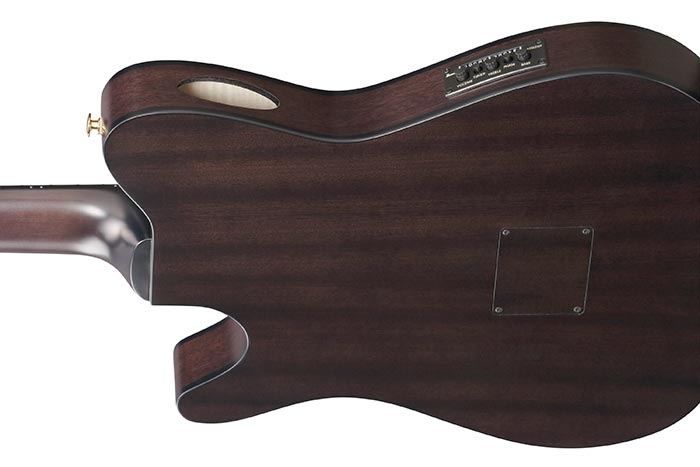 ibanez-frh20qmn-ctl_68b56d5c1fd4c.jpg