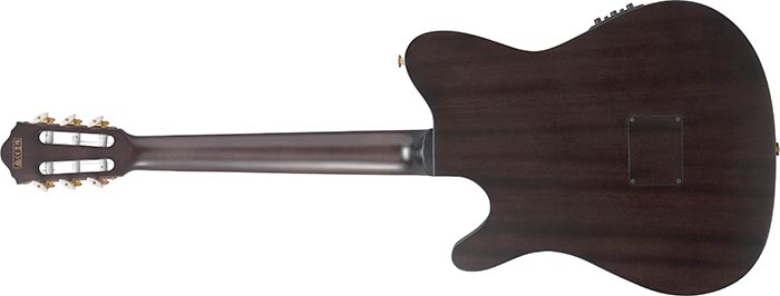 ibanez-frh20qmn-ctl_68b56d5e510e8.jpg