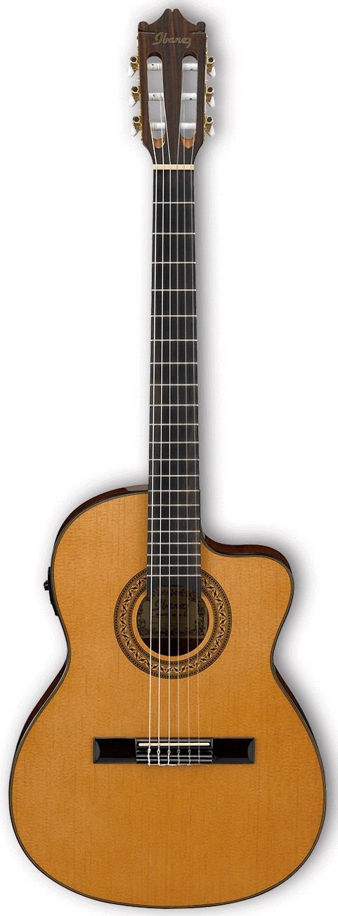 ibanez-ga5tce-am_5e96e8b0d4057.jpg