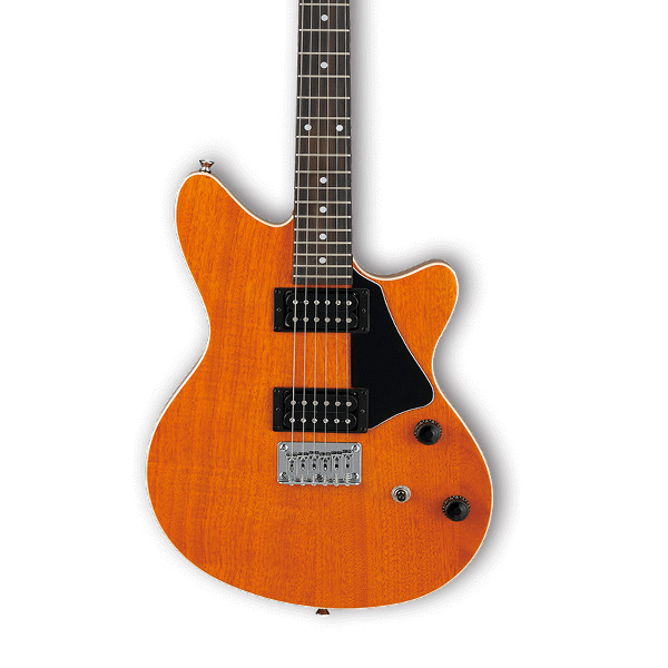 ibanez-rc220-aam_5dc3fa642137f.jpg