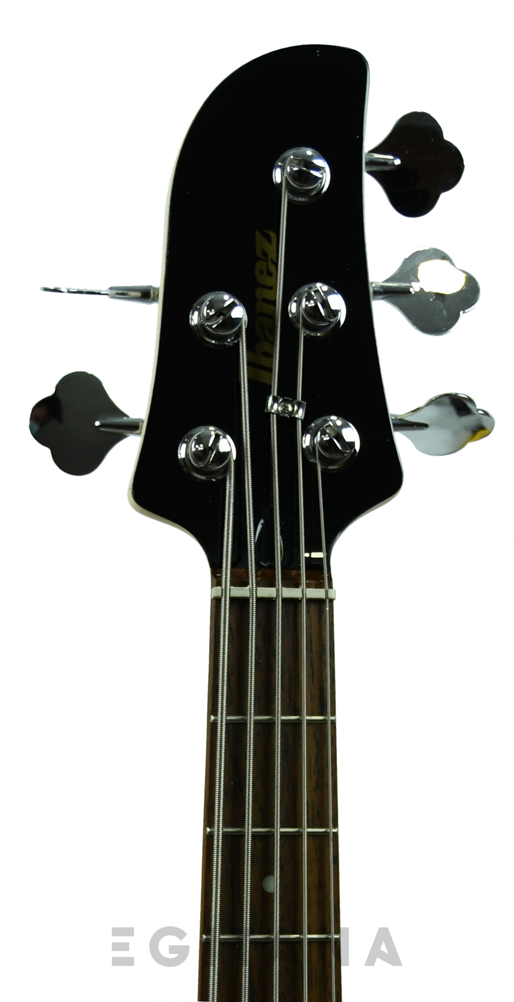 ibanez-tmb35-mgr-talman-short-scale_61309daf53f36.png