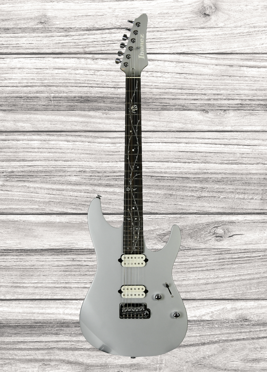 ibanez-tod10-tim-henson-signature-rh-classic-silver-with-bag_65dca9abccd74.png